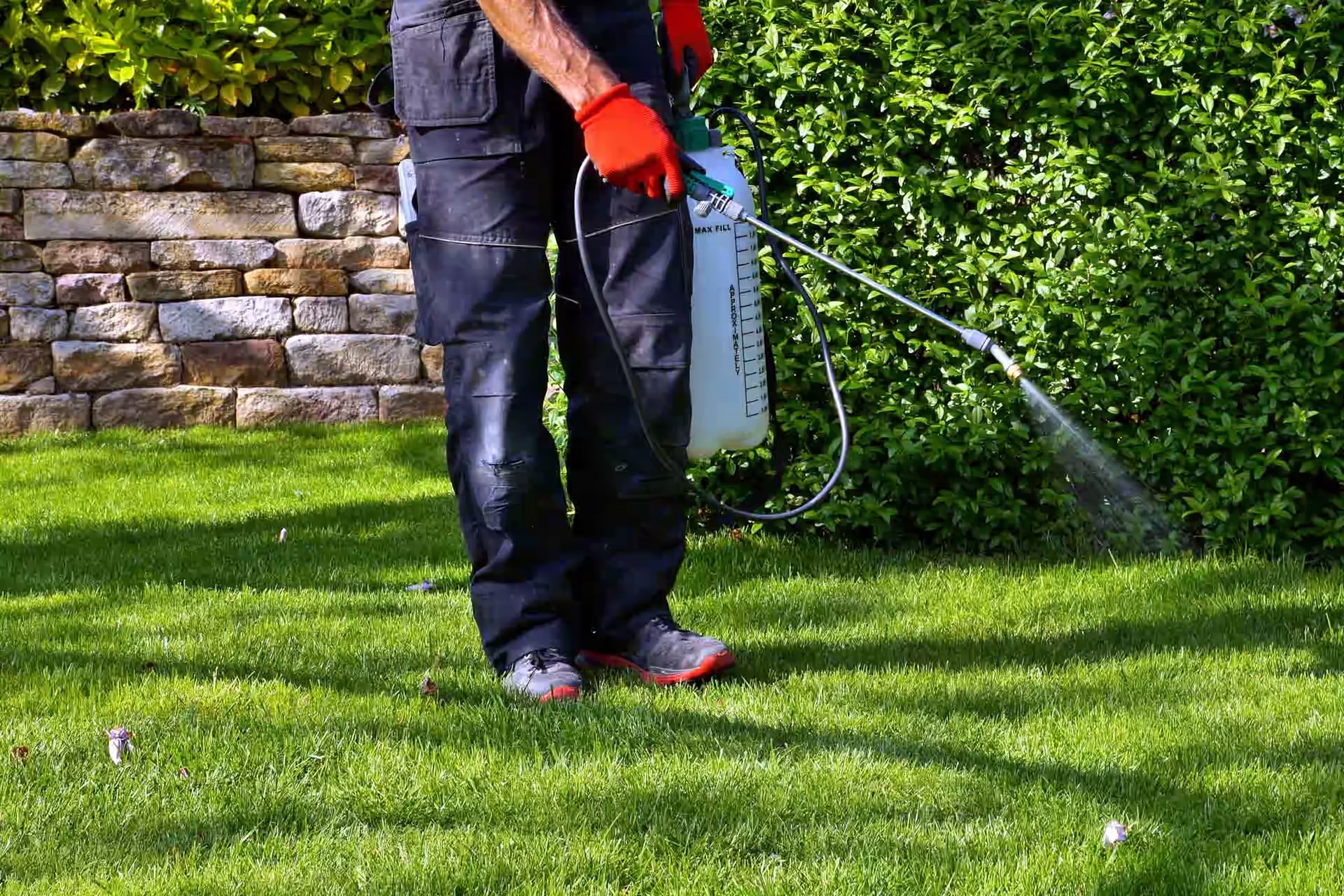 One-Time Weed Pulling