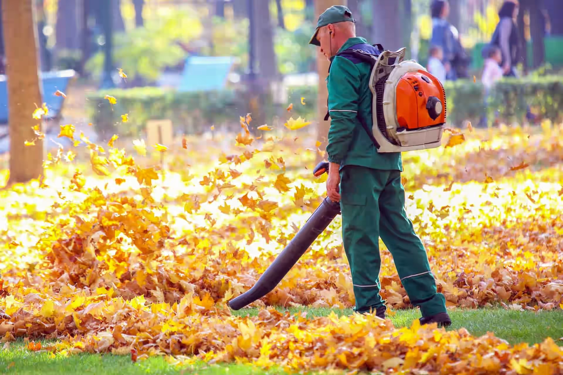 Spring/Fall Clean Up